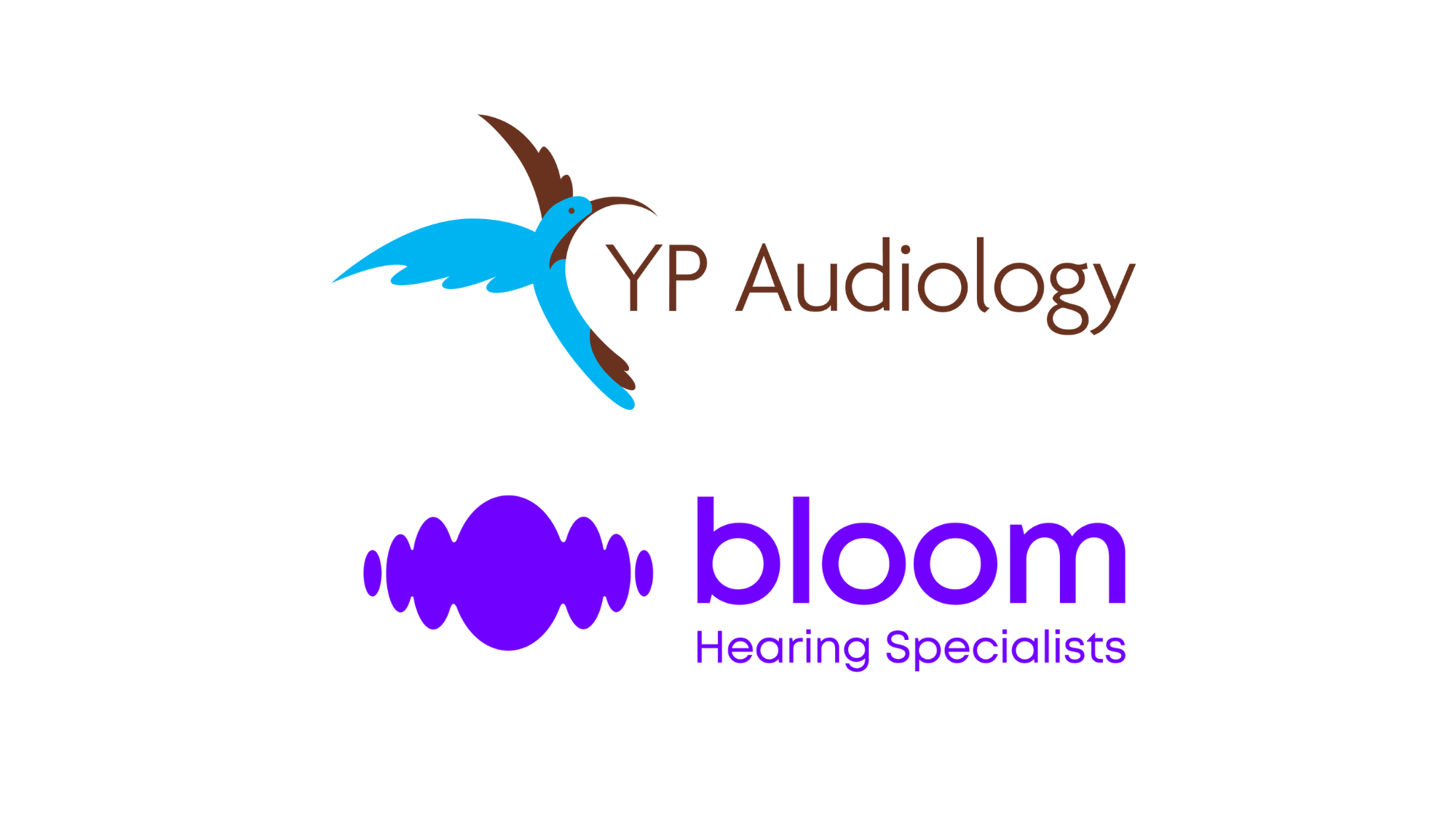 yp bloom logo
