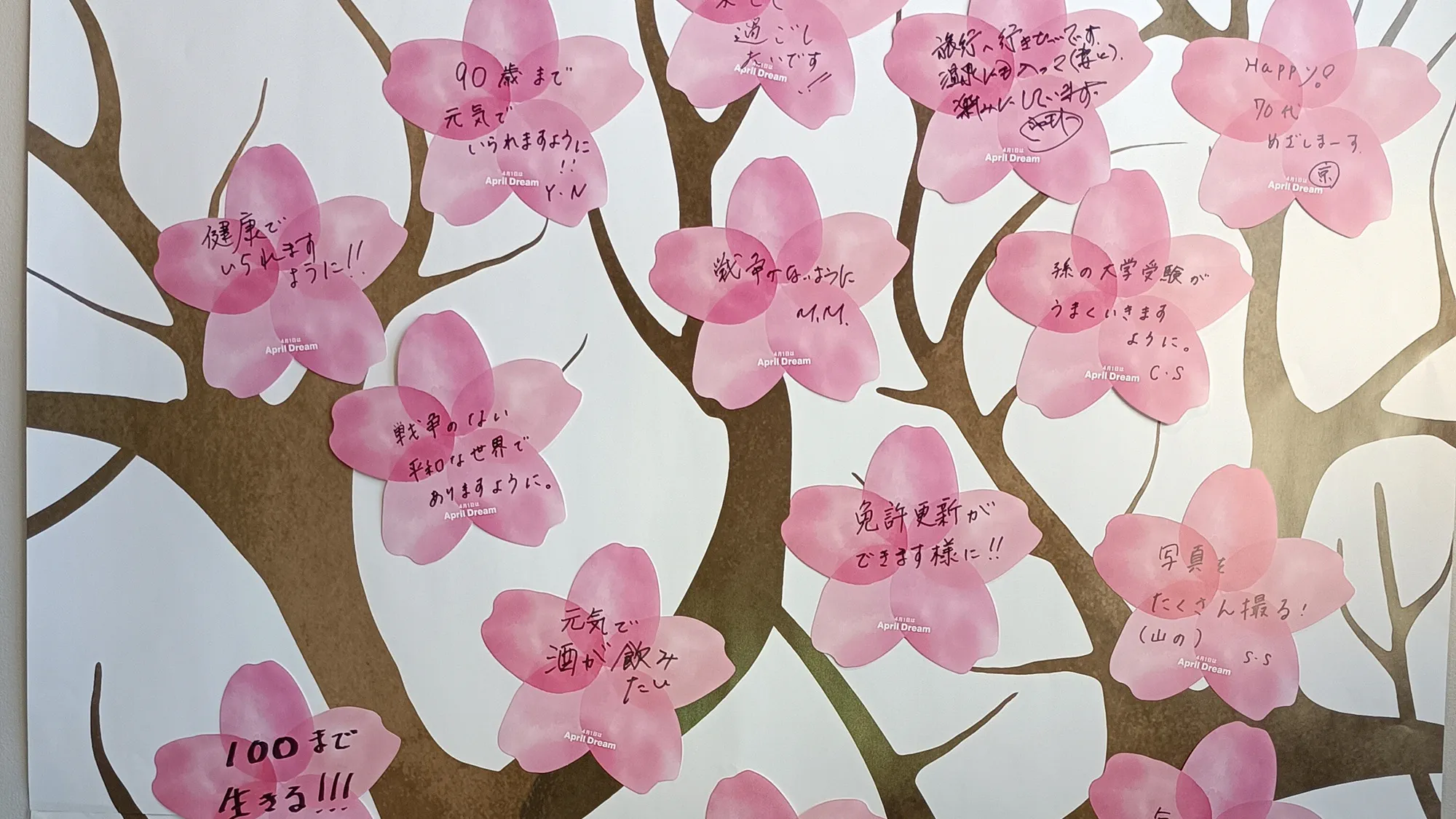 AprilDream26　大田原店
