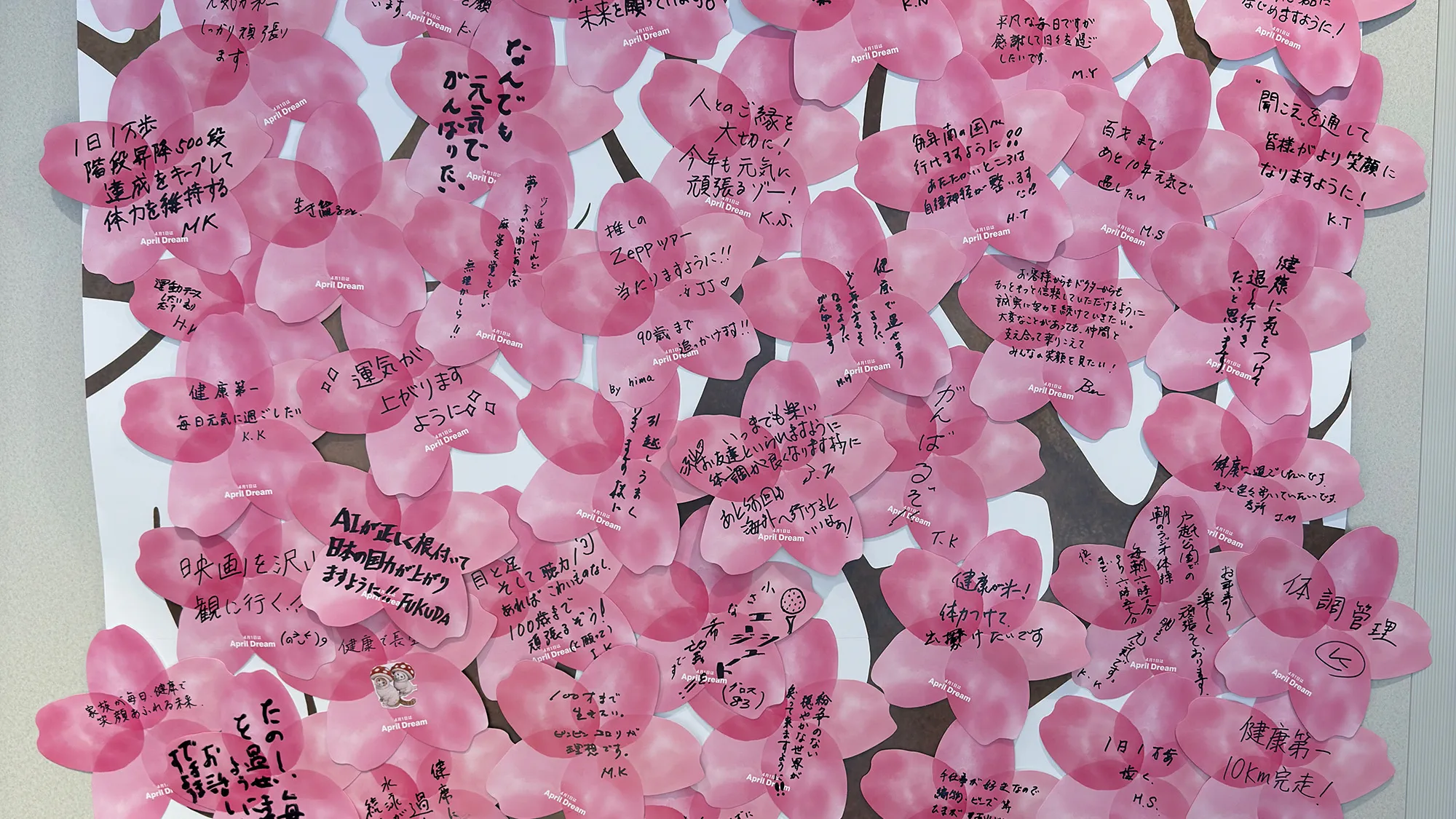 AprilDream26　戸越銀座店