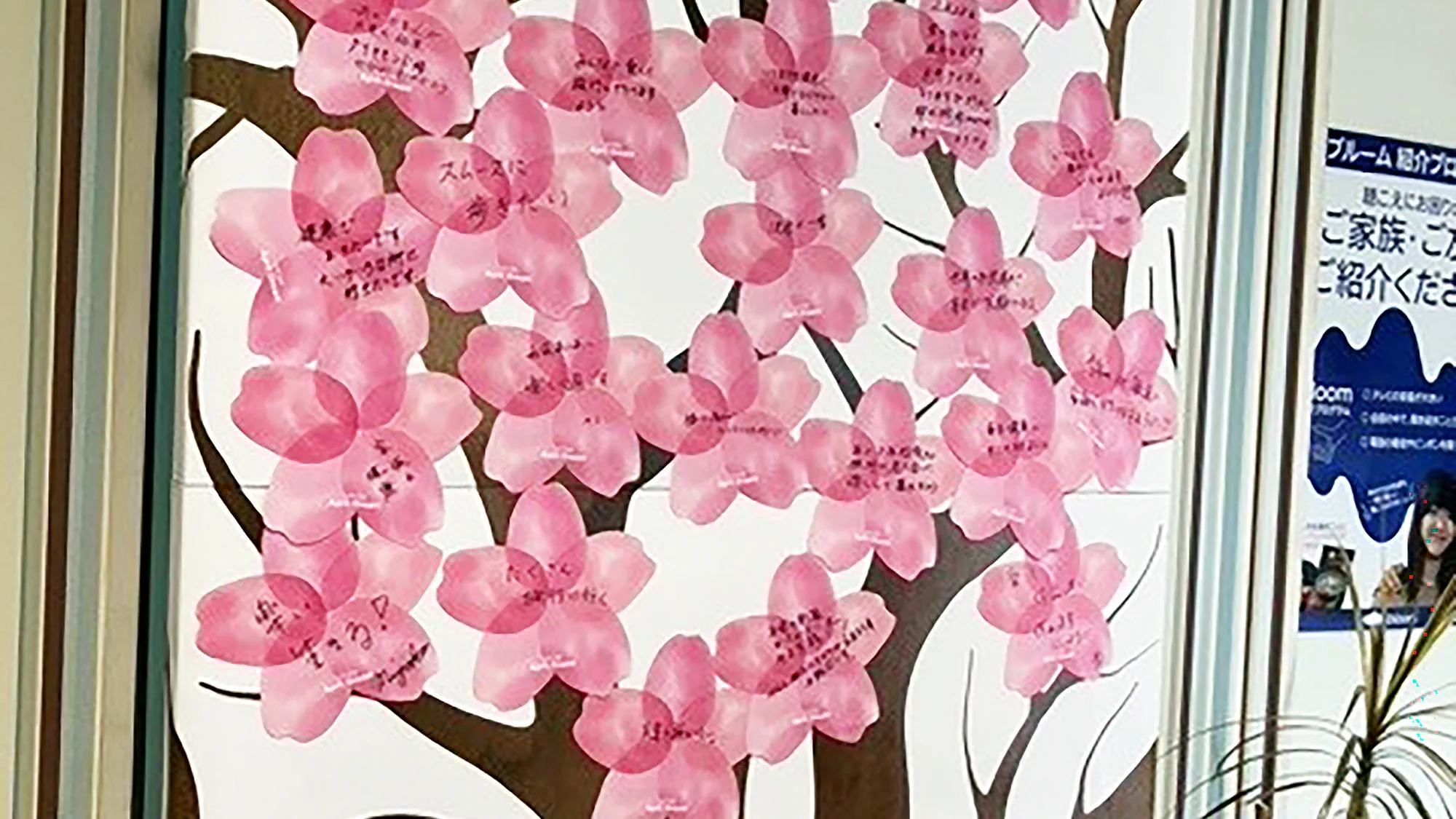 AprilDream26　豊橋店