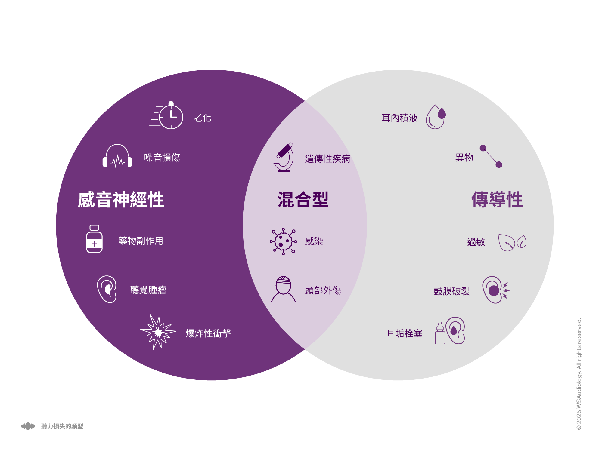 聽力示意圖-Widex-HK-TC_聽力損失類型