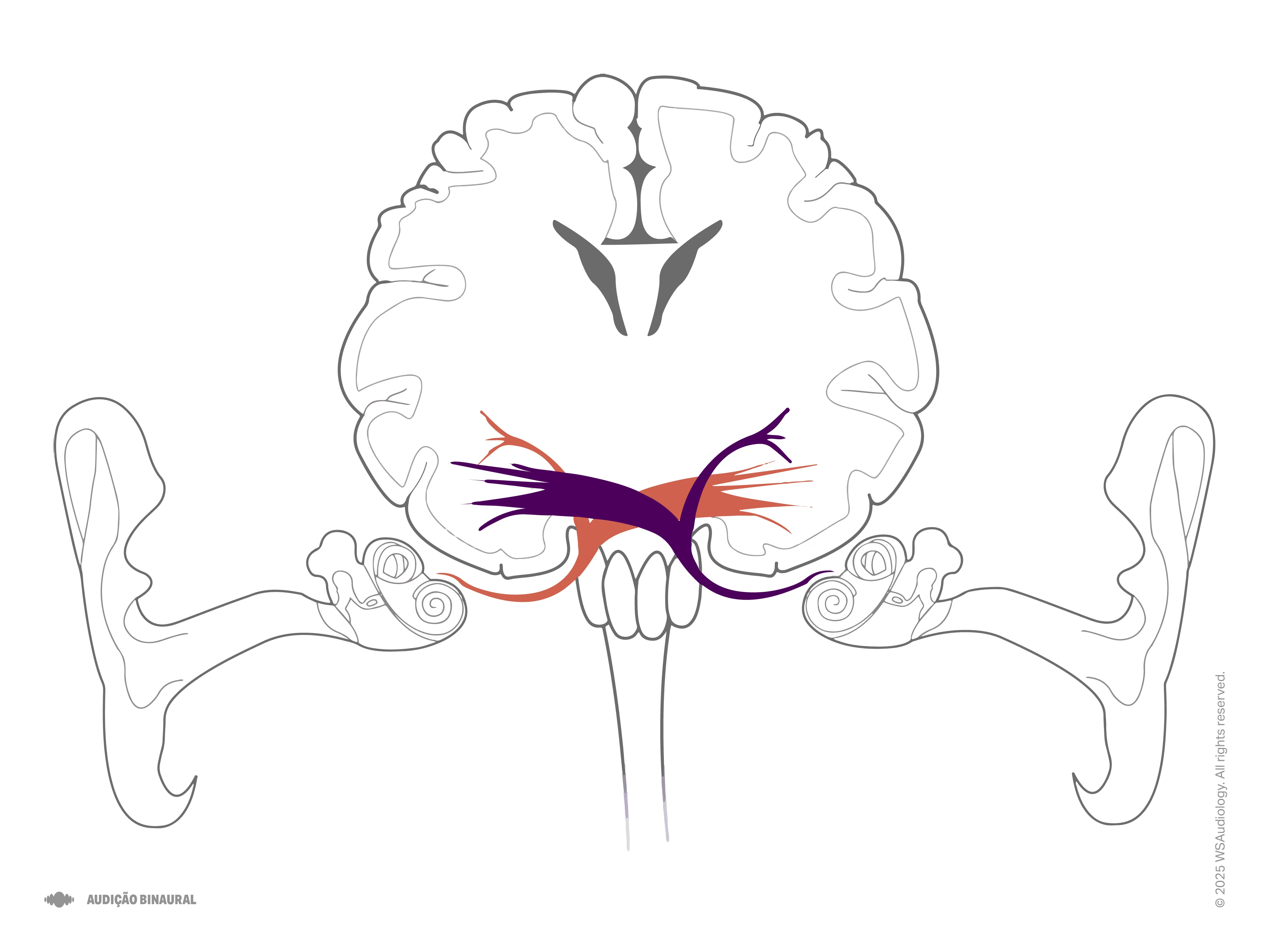 binaural-hearing-4x3