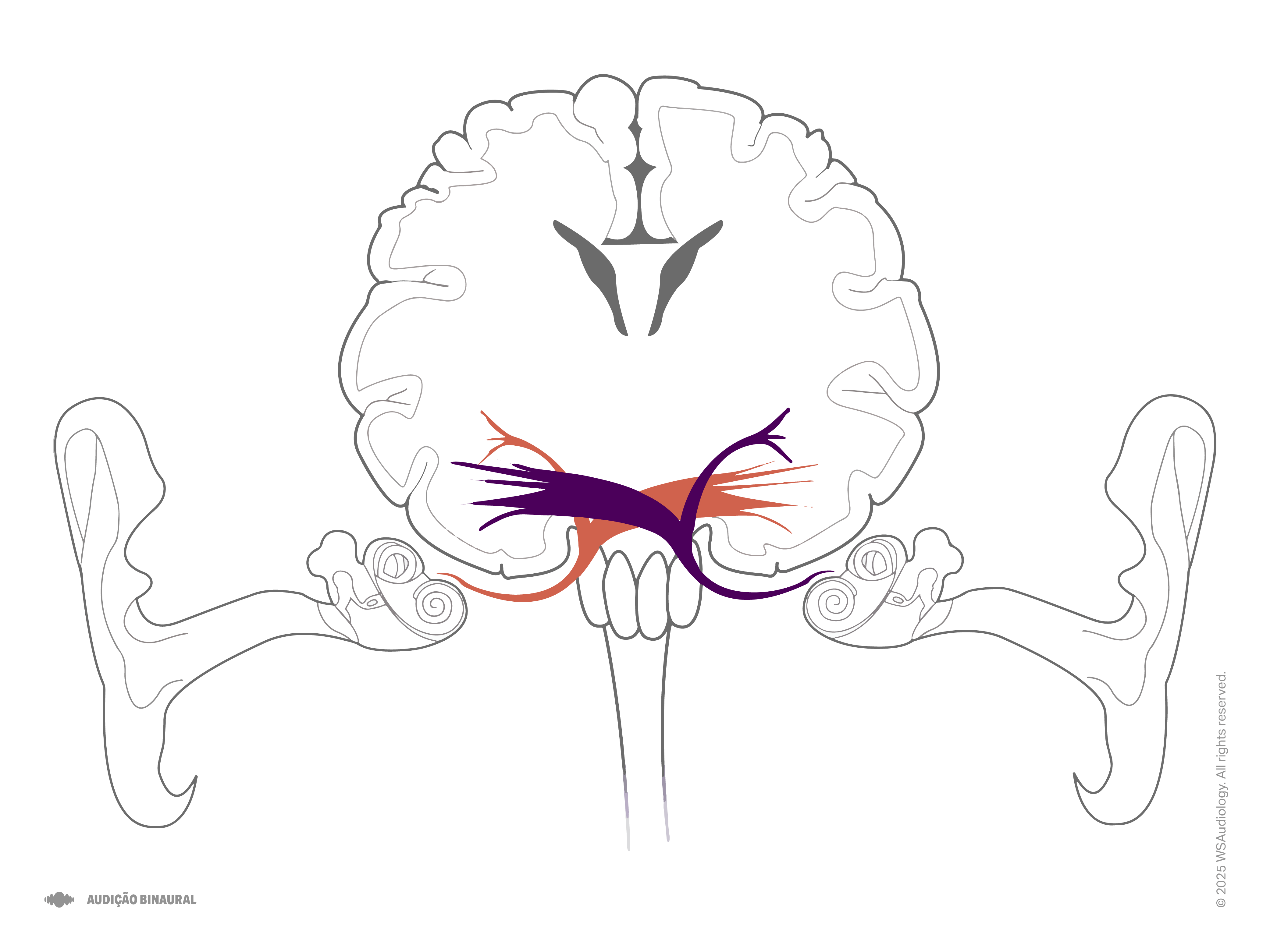 binaural-hearing-4x3